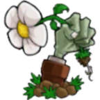 植物大战僵尸招笑版