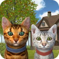  猫咪模拟器