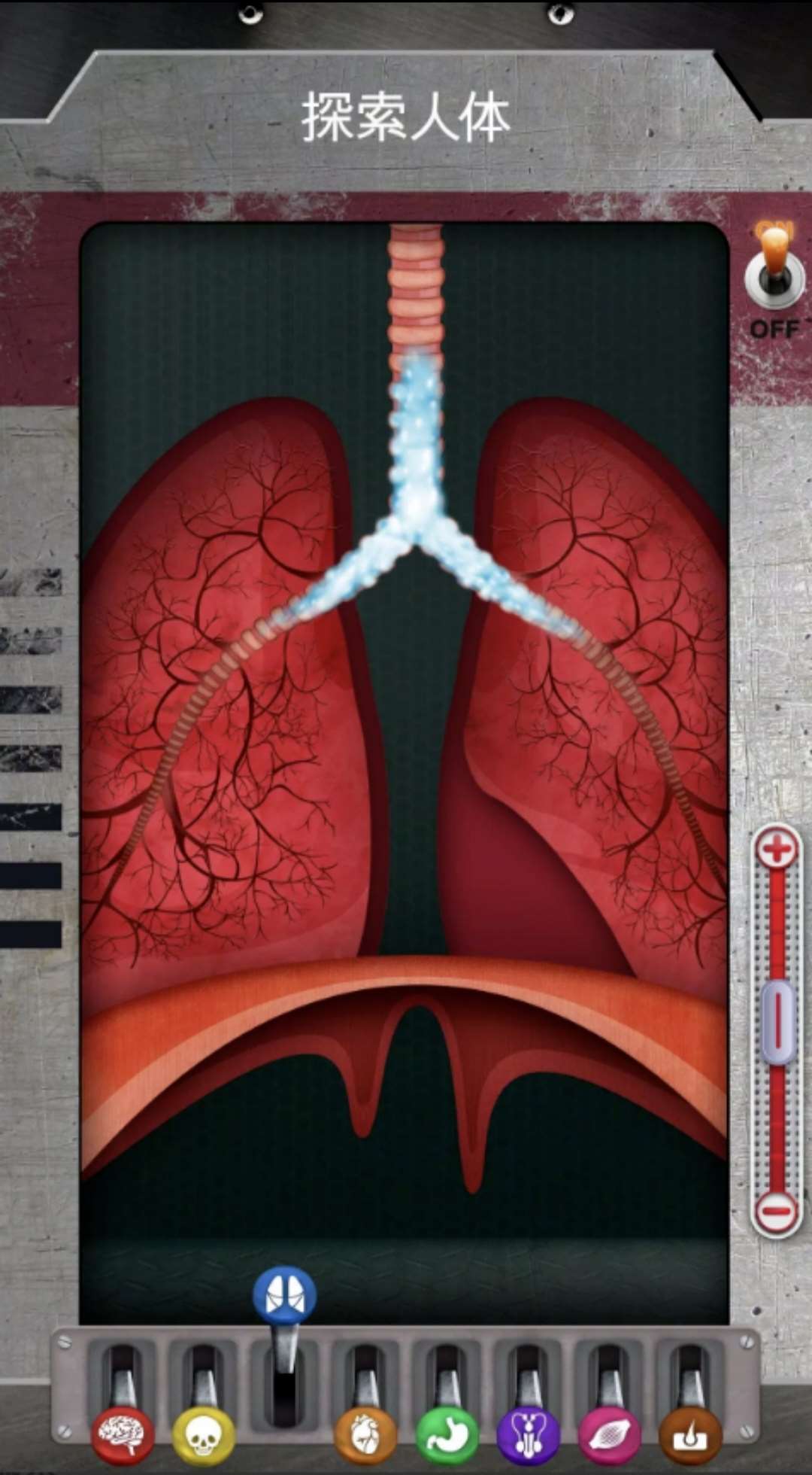 【新游推荐】人体是如何运作的？今日17:18首发上线