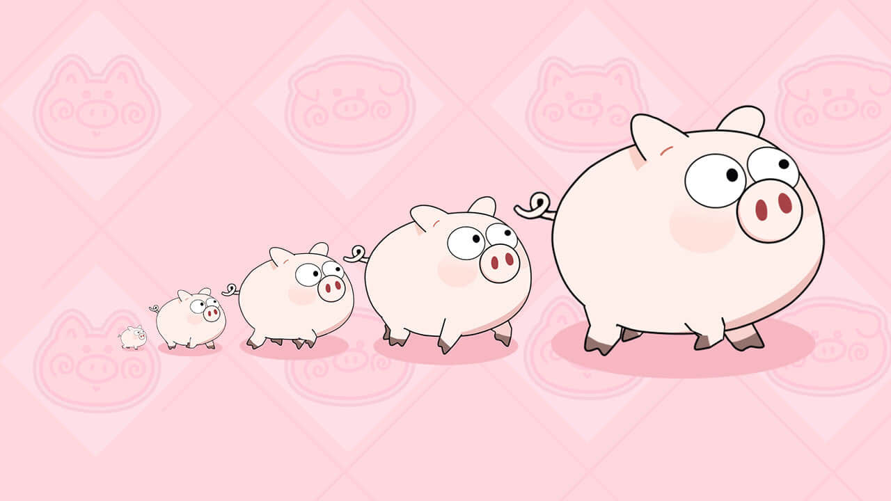 【新游推荐】又跑了只猪今日10:03首发上线