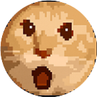 合成猫meme