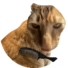 给猫梳毛游戏