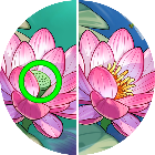 上下找茬王