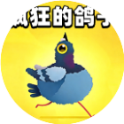 疯狂的鸽子***